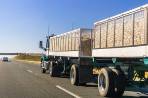 A truck driver with the specific FMCSA document requirements for agriculture.